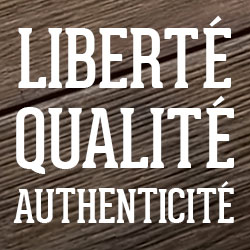 VELSKET-COMMUNICATION-BRANDING-IDENTITE DE MARQUE-CITRON PRESSE