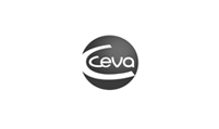 07 – CEVA