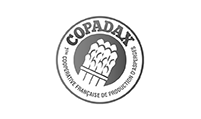 06 – COPADAX